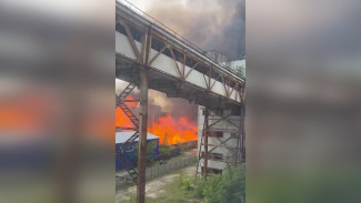 К тушению загоревшегося склада с деревянными поддонами привлекли пожарный поезд в Воронеже