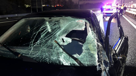 Под Воронежем пьяный водитель BMW врезался в «Газель» и насмерть сбил пешехода