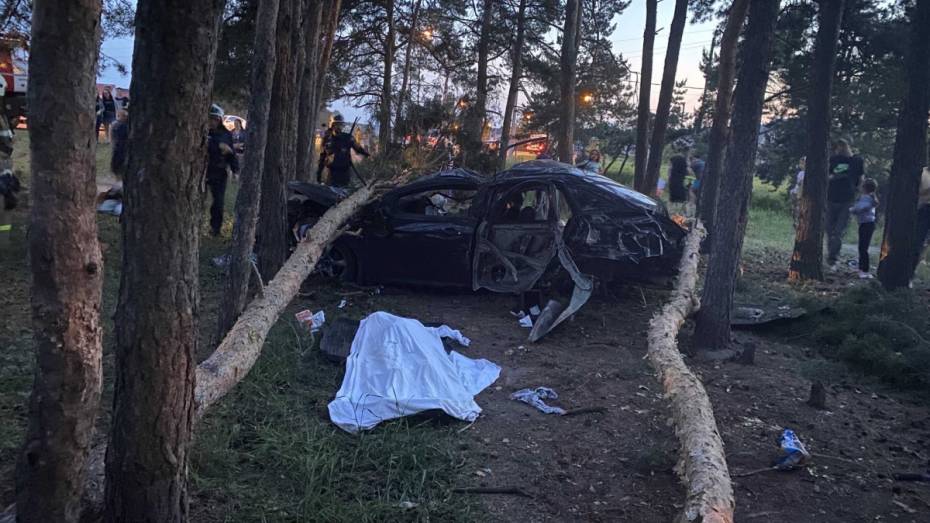 Ford снес опору ЛЭП: водитель погиб, пассажир в больнице