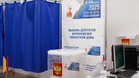 В Воронежской области завершилось голосование на выборах в областную и городскую думы и в органы местного самоуправления