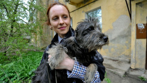 Воронежские зоозащитники нашли дом покалеченной  собаке Малышке