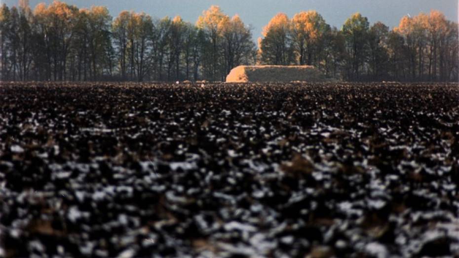 Острогожский фермер выбросил плодородную почву