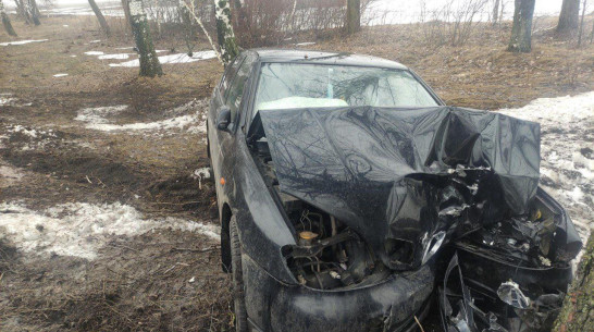 Под Воронежем иномарка с 18-летним водителем вылетела в кювет и врезалась в дерево