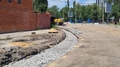 На улице Свободы в Воронеже высадят более 200 деревьев и кустарников взамен удаленных