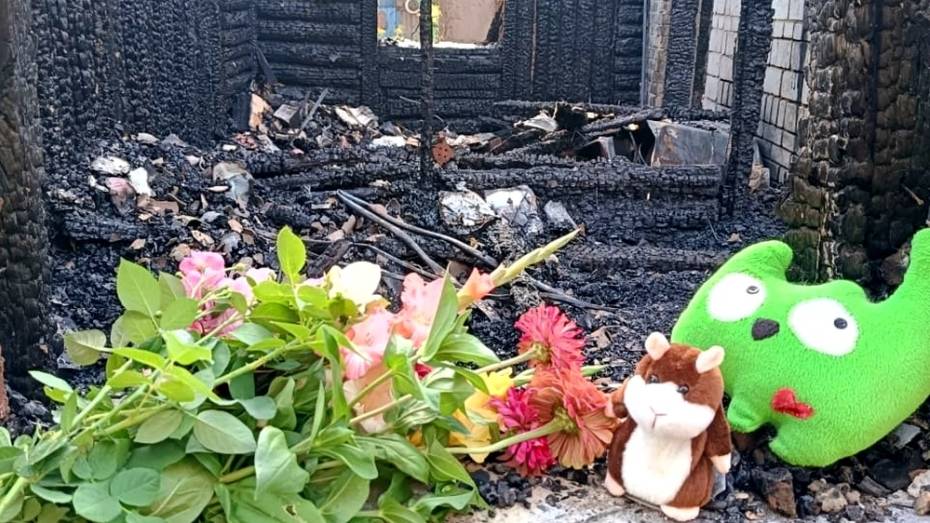 Под Воронежем в пожаре погибла 3-летняя девочка: что известно сейчас