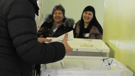 В Воронежской области к 10:00 на выборах президента проголосовали 7,8% избирателей