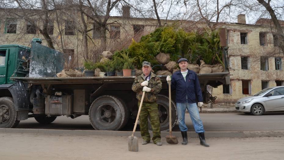 Семилукцы высадили более 1,4 тыс саженцев и кустарников в главном парке райцентра