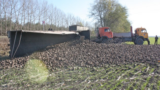 В Воронежской области перевернулся «КАМАЗ» со свеклой из Белгорода