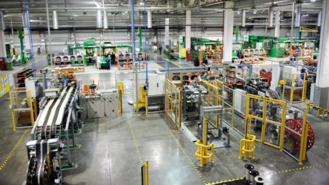 Власти объявили аукцион на строительство систем электроснабжения ИП «Масловский» под Воронежем