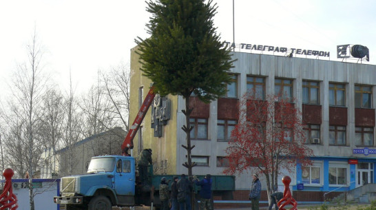 В Верхнем Мамоне для главной елки закупили светодиодные игрушки