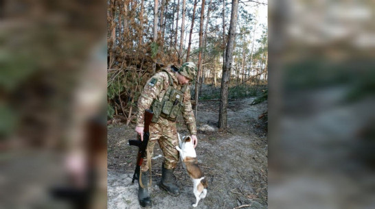 Житель Воронежской области вернулся в зону СВО после двух ранений