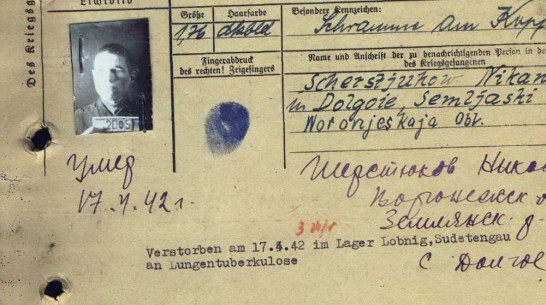 Пенсионерка из Ленобласти объявила поиски родных погибшего в немецком плену воронежца