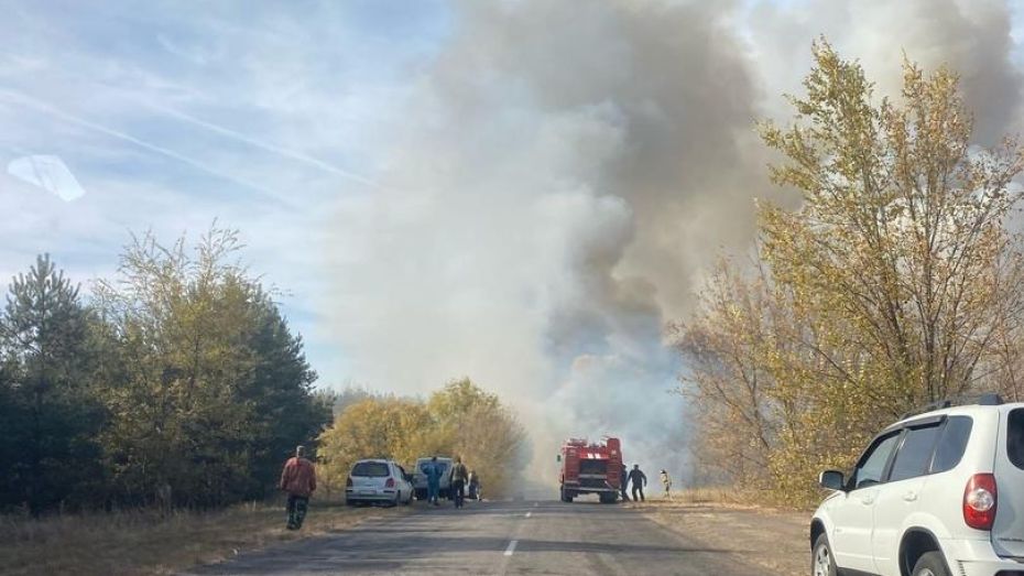 Пожарные пытаются отбить от огня село в Воронежской области