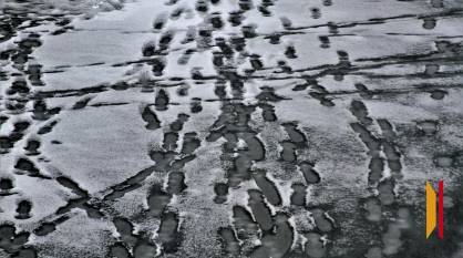 В Воронеже на Петровской набережной днем 15 марта женщина провалилась под лед