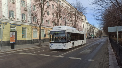 Новые большие автобусы вышли на востребованный маршрут в Воронеже