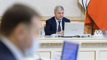 Глава Воронежской области: «Нам важно не допустить инвестиционного ступора»