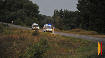 В Воронежской области за 2025 год в ДТП погибли 13 детей