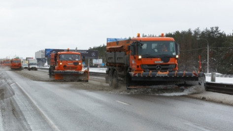 ФАС приостановила торги на обслуживание дорог Воронежской области