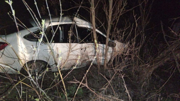 Врезались в дерево: в Воронежской области трое несовершеннолетних пострадали в ДТП