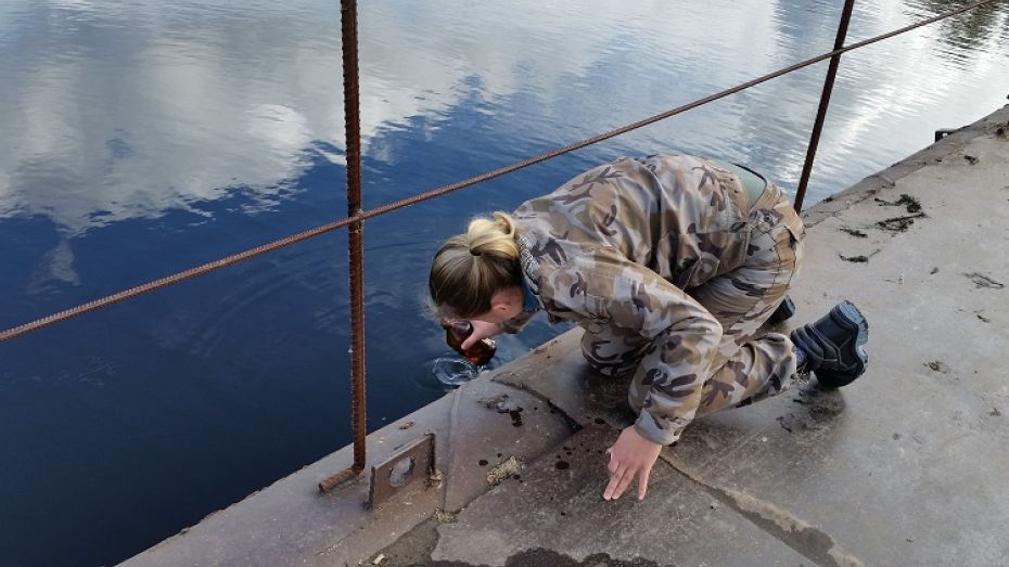 В водоемах Воронежского заповедника нашли опасное для людей вещество