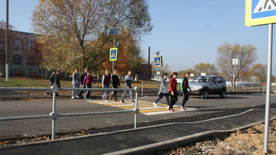 В Каменском районе в 3-х селах у школ оборудовали пешеходные переходы