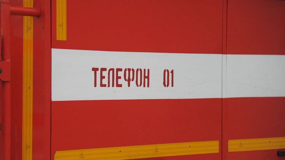 При пожаре в Грибановском районе Воронежской области погибла 85-летняя женщина
