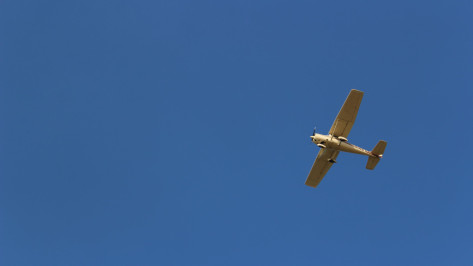 Еще один беспилотник сбили в Воронежской области 25 июня