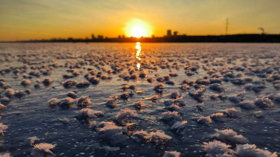 На льду Воронежского водохранилища распустились инеевые цветы