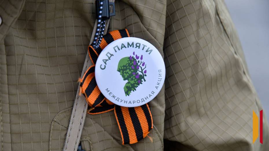 Более 73 тыс деревьев высадят в Воронежской области в рамках акции «Сад памяти»