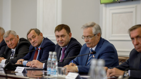 В Воронежской облдуме обсудили меры поддержки малого и среднего бизнеса