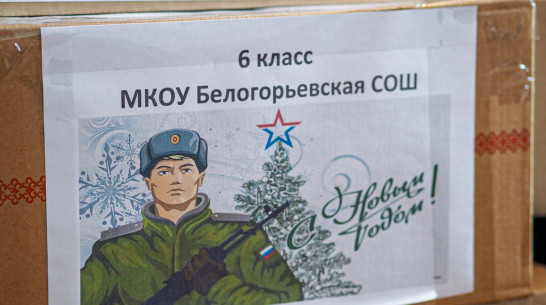 Жителей подгоренского села Белогорье попросили собрать гостинцы для бойцов