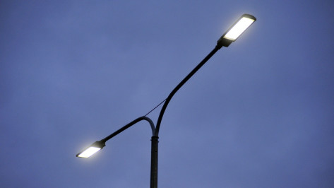 Благодаря энергосервисным контрактам обновили освещение в 17 районах Воронежской области 