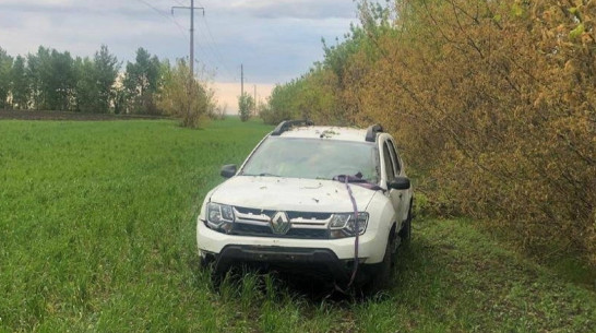 Под Воронежем пенсионер на Renault вылетел в кювет, врезался в деревья и погиб