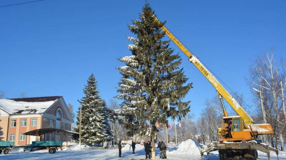 На главной площади Нижнедевицка установили елку