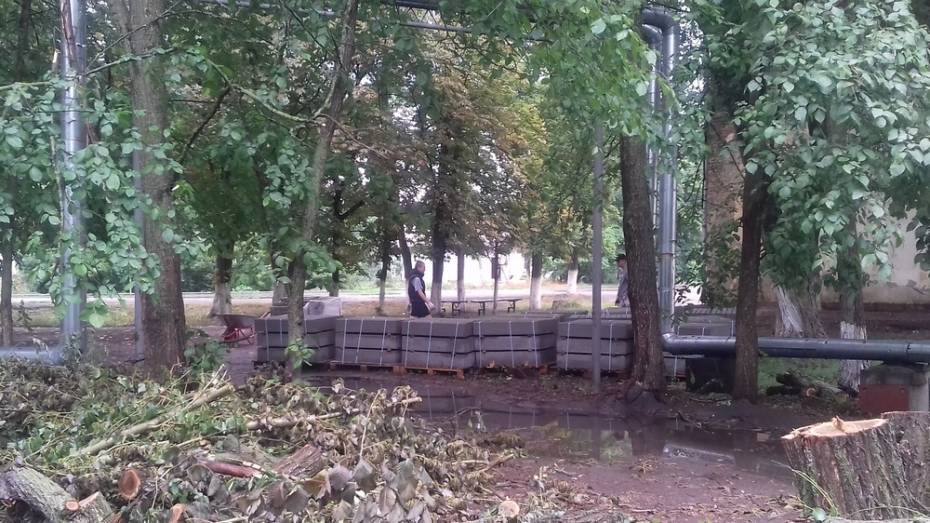 В Таловском районе на благоустройство парка потратят более 7 млн рублей