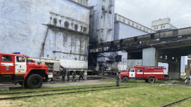 Пожар на территории Воронежской хлебной базы тушили 76 человек