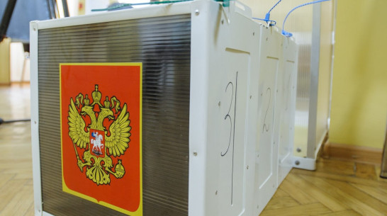 В Воронежской области на выборах 2026 года образуют три новых избирательных округа