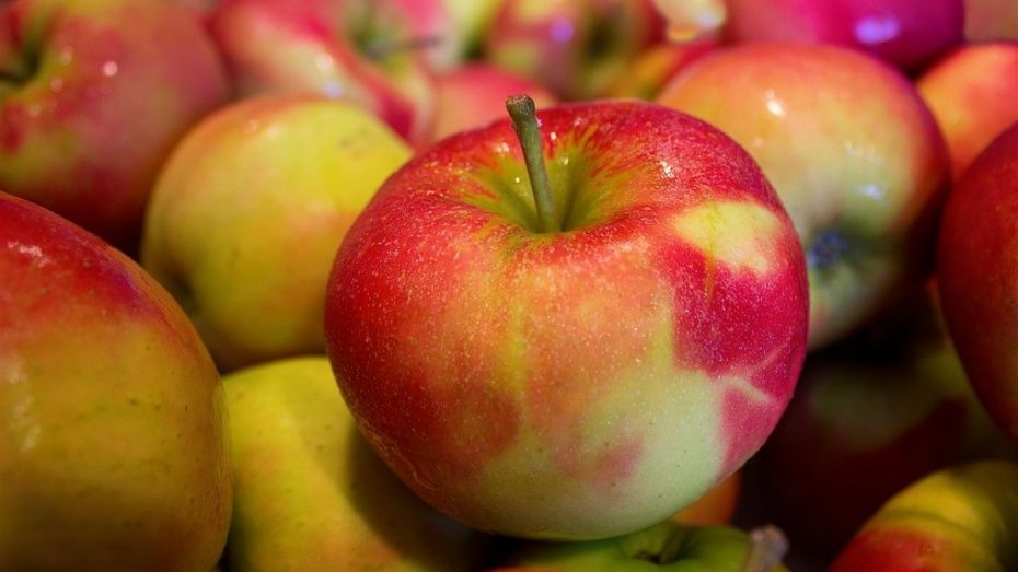 Россельхознадзор нашел на воронежском рынке опасные белорусские яблоки