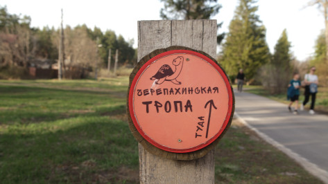 В Воронежском заповеднике закрыли разрушенную паводком экотропу