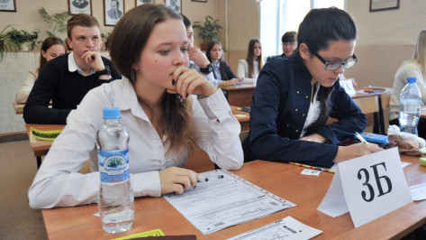 В Воронежской области ЕГЭ по обществознанию «провалили» 788 школьников 