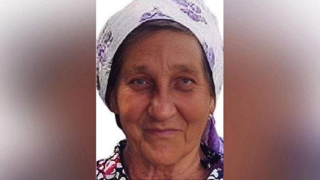 Срочные поиски пропавшей в селе Добрино 78-летней женщины объявили в Воронежской области