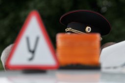 Регистрацию авто и выдачу прав остановили в Воронежской области из-за технического сбоя