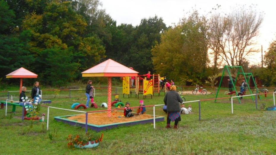 Общественники из павловского села обустроили детскую площадку