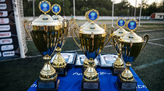 Дебютный сезон «Лиги Чемпионов Бизнеса» по футболу завершился в Воронеже