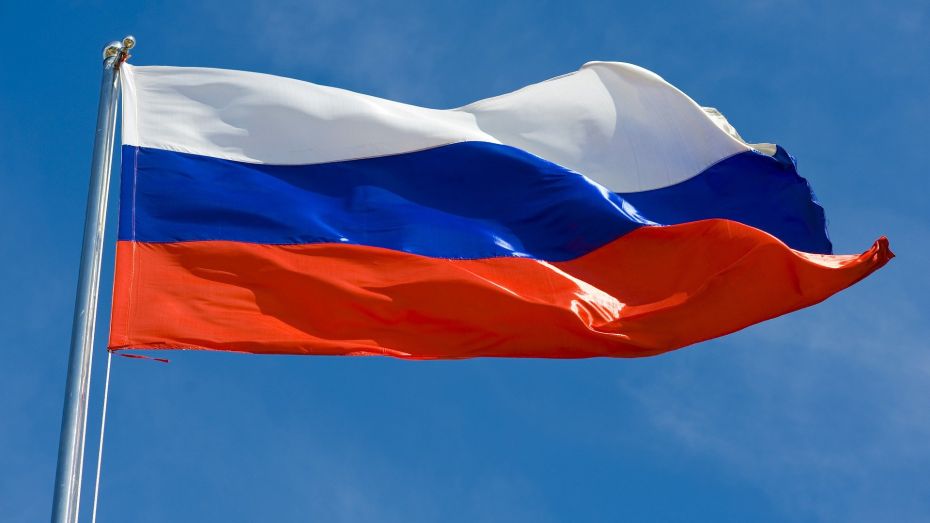 Александр Гусев: флаг России начнут поднимать в школах Воронежской области с 18 апреля