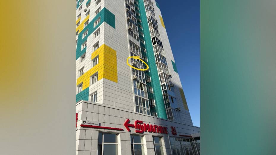 В воронежском ЖК «Озерки» дети бросали с балконов пакеты с водой, яблоки и мандарины