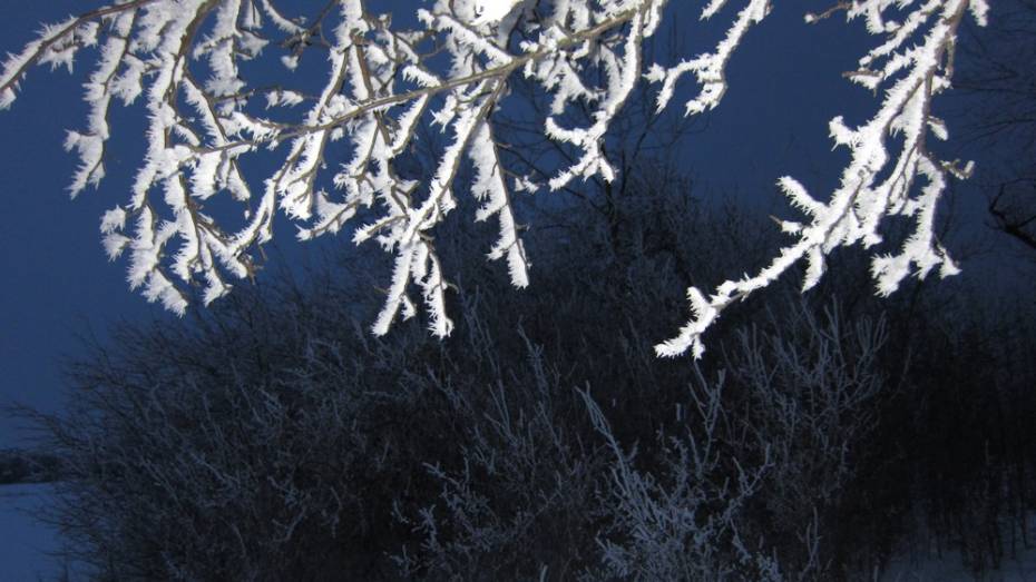 В Бутурлиновском районе под Рождество ударили морозы