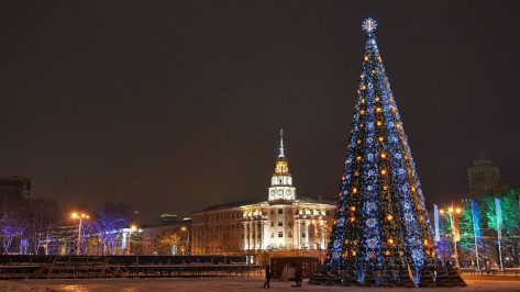 Чиновники объяснили высокую стоимость главной новогодней елки Воронежа