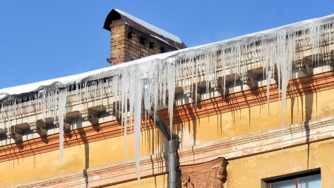До +7 градусов может потеплеть в Воронежской области в выходные