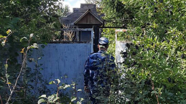 В Воронежской области обнаружили 28 человек из федерального розыска